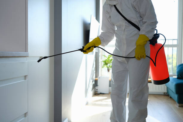 Best Mold Removal and Inspection  in Ranson, WV