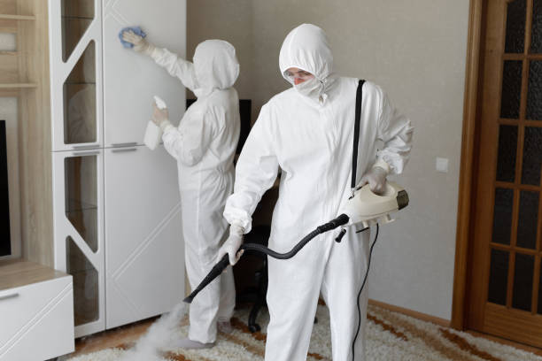 Mold Removal and Inspection in Ranson, WV