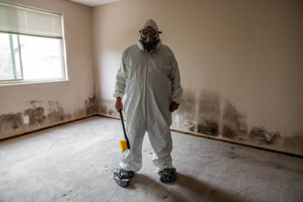 Best Toxic Mold Removal  in Ranson, WV